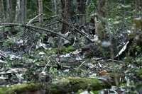 Депутат Слуцкий назвал неприемлемым тон Зеленского, позвавшего РФ на саммит мира