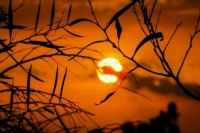 Госдума досрочно прекратила полномочия депутата Шилкина Госдума досрочно прекратила полномочия депутата Шилкина