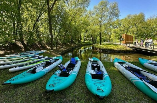 Использование сапбордов отрегулируют законом