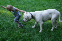 Володин: Госдума поддержит предложение выдворять мигрантов по 20 статьям КоАП