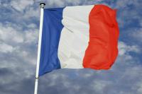 Володин: В весеннюю сессию депутаты приняли 331 закон Володин: В весеннюю сессию депутаты приняли 331 закон