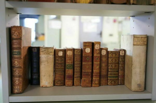 Выдавать лицензии на &laquo;сиротские&raquo; произведения будет специальная организация