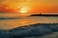 Депутат Милонов не видит проблем с проверкой мотивации переселенцев с Запада