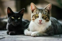 Татьяна Москалькова: В центре любой системы &mdash; не цифра, не буква, а человек