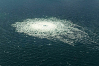 Депутат Шеремет оценил план Трампа по урегулированию конфликта на Украине Депутат Шеремет оценил план Трампа по урегулированию конфликта на Украине