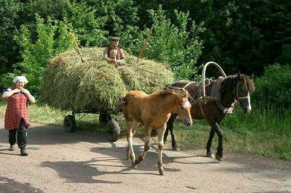 Комитет Госдумы поддержал законопроект о сельском туризме Комитет Госдумы поддержал законопроект о сельском туризме