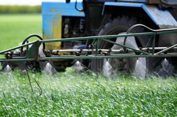 За поддельную отраву для мышей предлагают сажать за решетку За поддельную отраву для мышей предлагают сажать за решетку