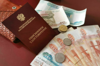 Депутат Шеремет назвал заявление Бербок об ударах вглубь России безумством