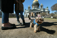 Депутат Слуцкий: Заката современной цивилизации не произойдет благодаря Путину Депутат Слуцкий: Заката современной цивилизации не произойдет благодаря Путину