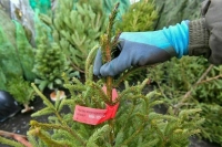 Володин обсудил с губернатором Челябинской области развитие региона