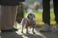 Депутат Лантратова призвала проверить игрушки на деструктив и токсичность Депутат Лантратова призвала проверить игрушки на деструктив и токсичность