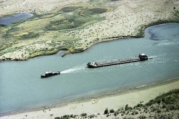 Фруктовые сады вместо пустыни: пойдет ли Россия сталинским путем Фруктовые сады вместо пустыни: пойдет ли Россия сталинским путем