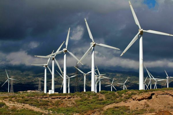 Фруктовые сады вместо пустыни: пойдет ли Россия сталинским путем Фруктовые сады вместо пустыни: пойдет ли Россия сталинским путем