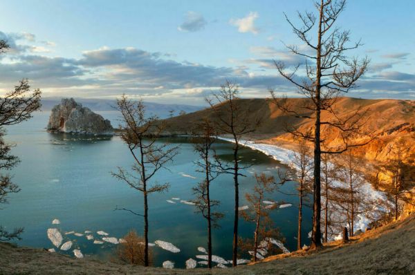 Фруктовые сады вместо пустыни: пойдет ли Россия сталинским путем Фруктовые сады вместо пустыни: пойдет ли Россия сталинским путем