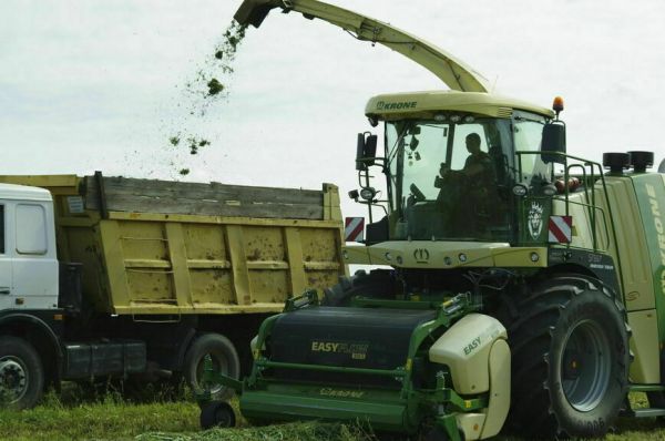 Законы, вступающие в силу в январе
