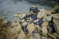 Депутат Заварзин считает, что Трамп не закончит конфликт на Украине за 100 дней