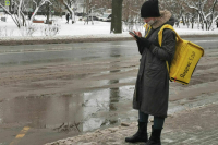 Самозанятые смогут стать депутатами Госдумы