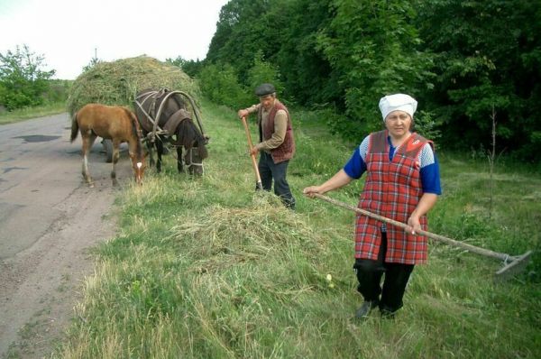Судьба сельсоветов решится в 2025 году