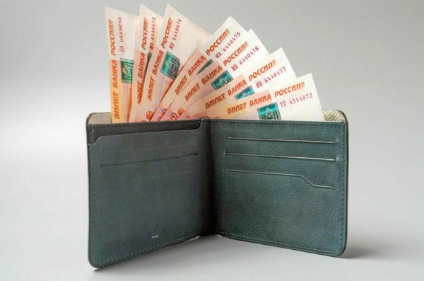 В ЛДПР предложили выплачивать маткапитал студенткам в сумме 833 тысячи рублей В ЛДПР предложили выплачивать маткапитал студенткам в сумме 833 тысячи рублей