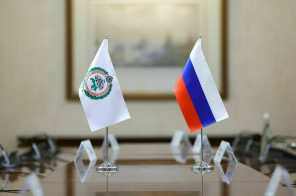 Россия готова обменяться опытом с Арабским парламентом Россия готова обменяться опытом с Арабским парламентом