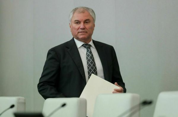 Володин назвал темы, которые депутаты планируют поднять во время отчета кабмина