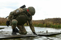 Володин поручил подготовить законопроект о защите от нападения бездомных собак