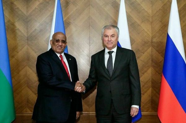 Володин: Развитие контактов со странами Африки &mdash; один из приоритетов России