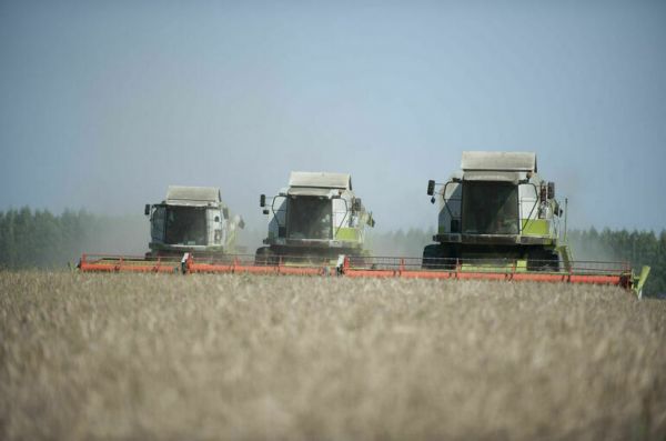 Перевод земель из одной категории в другую возьмут под контроль Перевод земель из одной категории в другую возьмут под контроль