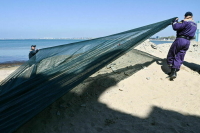 У избирателей и наблюдателей появятся цифровые помощники