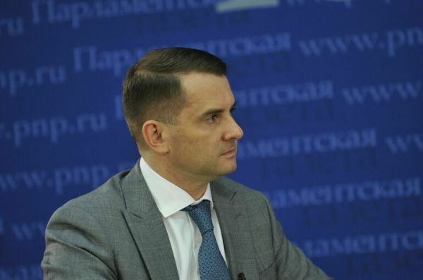 Депутат Нилов предложил продлить новогодние праздники до 11 января