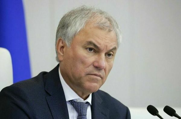 Володин: Трудовые мигранты не должны везти в Россию свои семьи