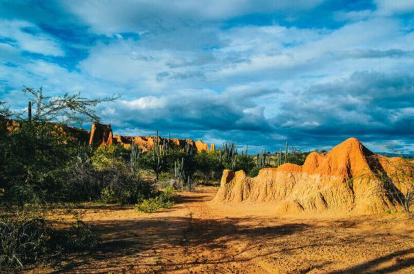 Африка говорит Парижу не «мерси», а «адье»! Африка говорит Парижу не «мерси», а «адье»!