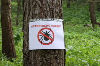 Слуцкий предложил включить в программу ОМС проверку клещей на инфекции после укуса Слуцкий предложил включить в программу ОМС проверку клещей на инфекции после укуса