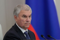 Володин: Постараемся как можно скорее рассмотреть проект о повышении пошлин для мигрантов