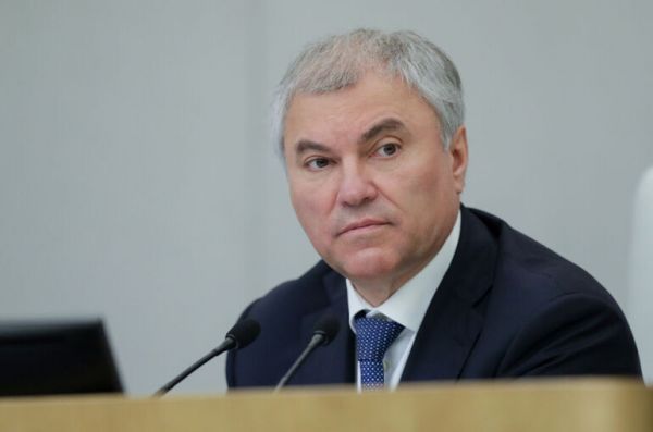 Володин: Постараемся как можно скорее рассмотреть проект о повышении пошлин для мигрантов
